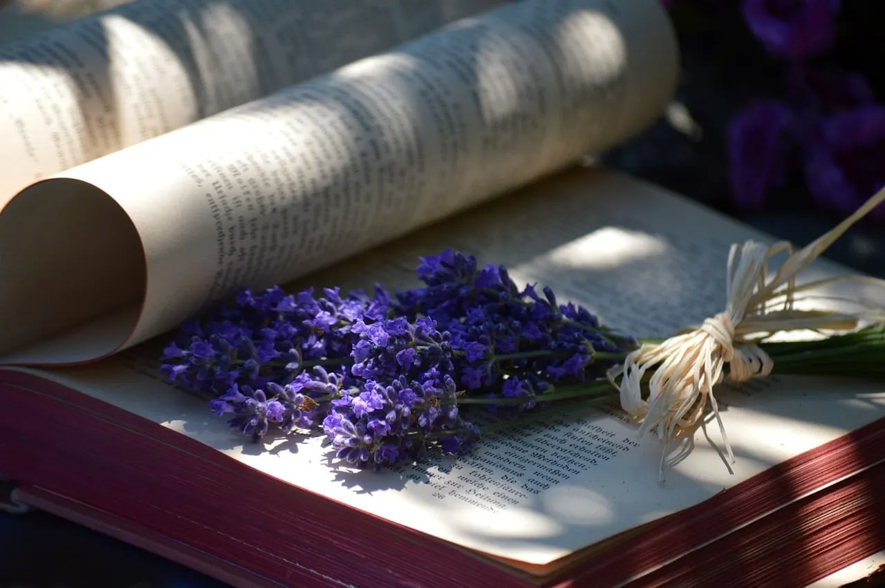 Photo showing book, lavender and book pages.