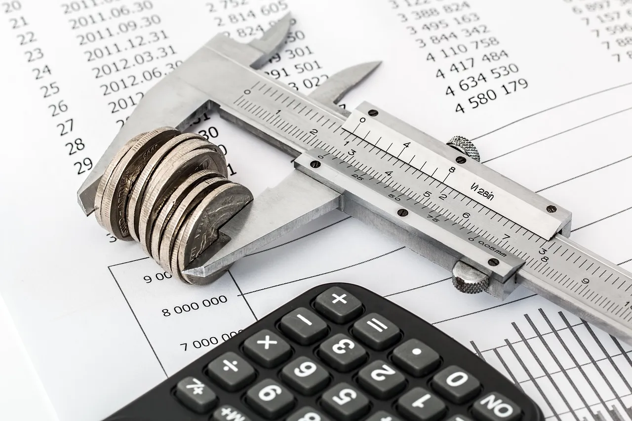 Photo showing savings, budget and investment.