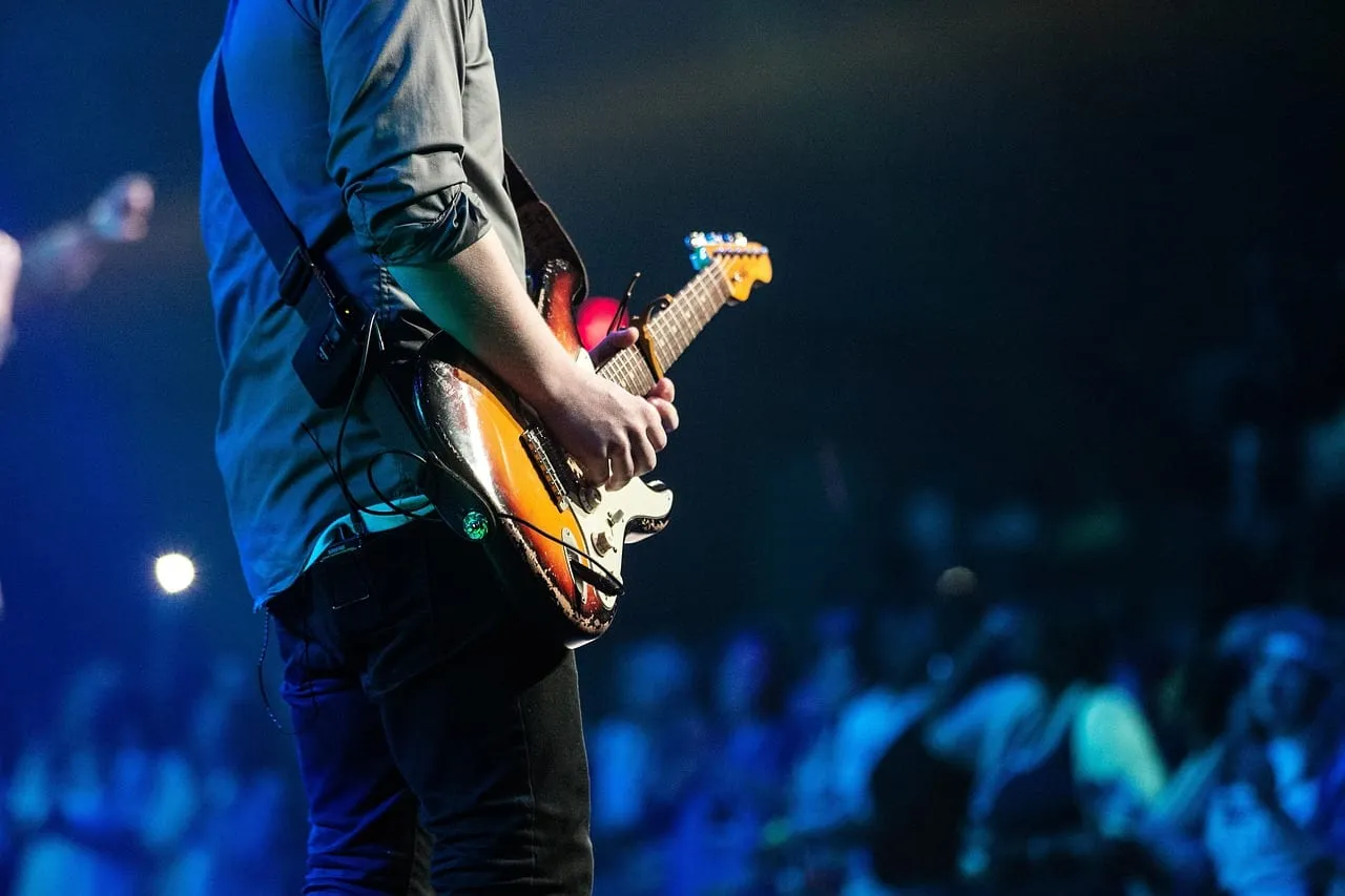 Photo showing audience, concert, guitar and guitarist.
